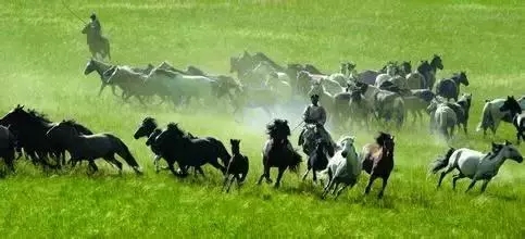 微信图片_20210521143817