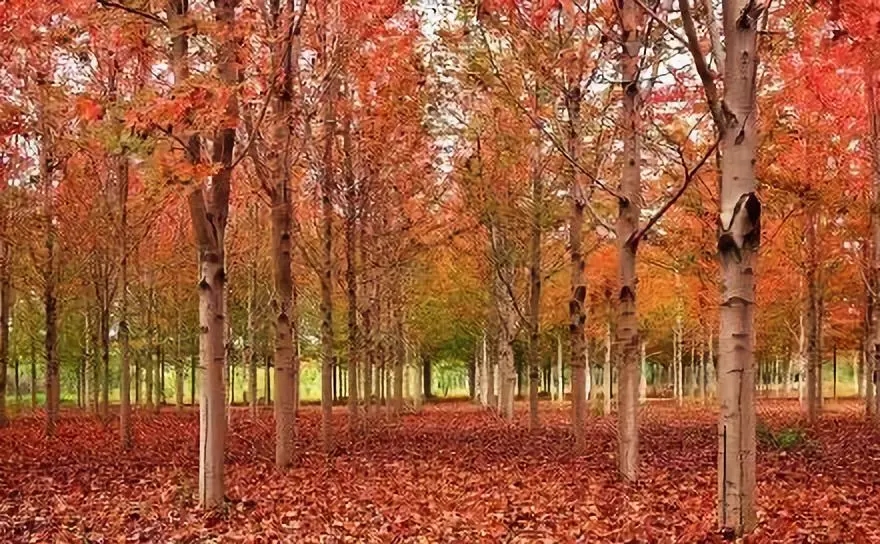 微信图片_202110090951295