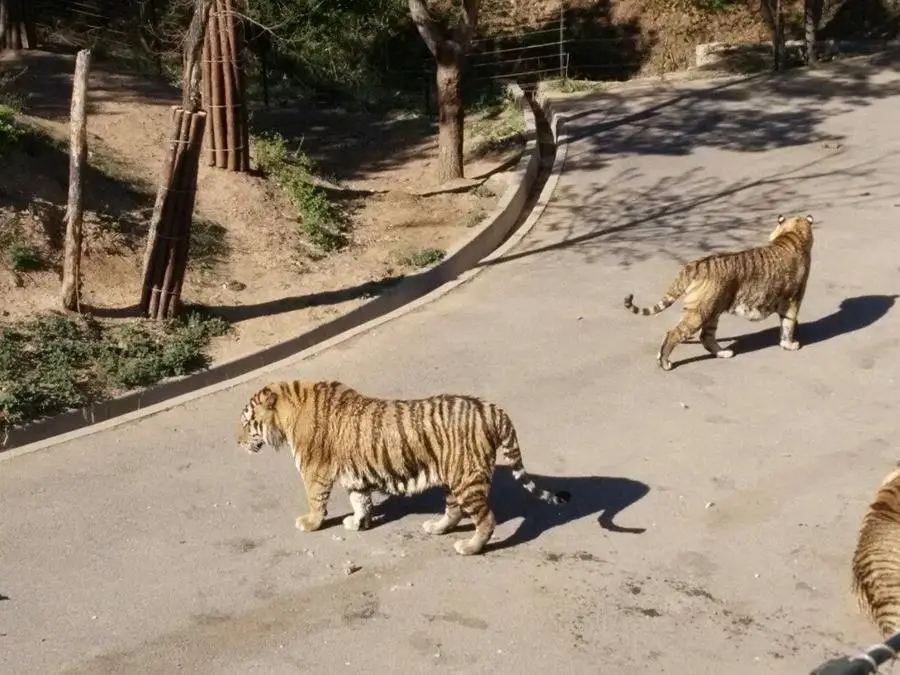 微信图片_20211009180826