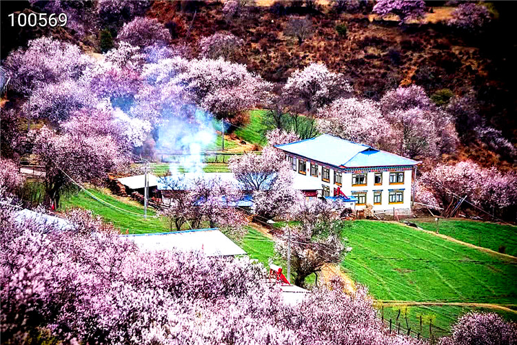 2023年3月【探秘西藏】拉萨,布达拉宫,大昭寺广场,卡定沟天佛瀑布,巴松措,鲁朗林海,嘎拉桃花沟,雅鲁藏布大峡谷,索松村,羊卓雍措2飞2卧10日游
