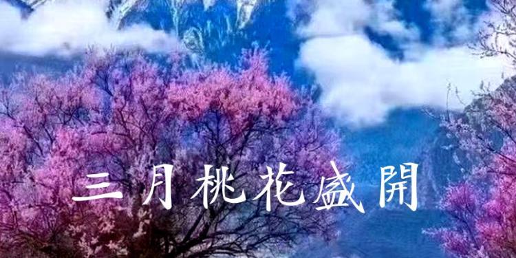 西藏注意事项
