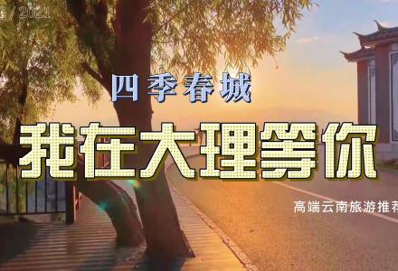 我在大理等你